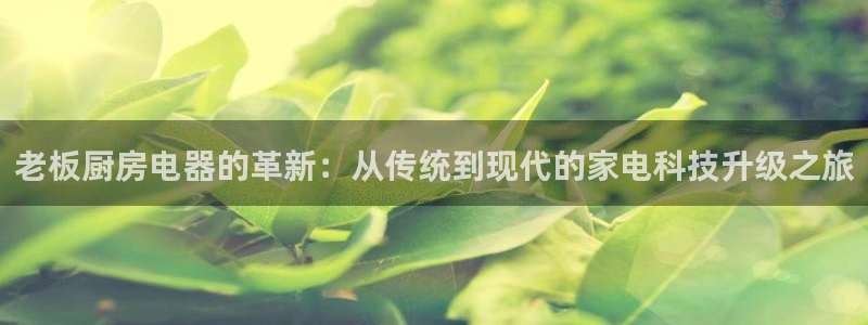cq9电子试玩网站免费