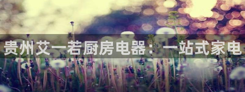 有电子cQ9的棋牌