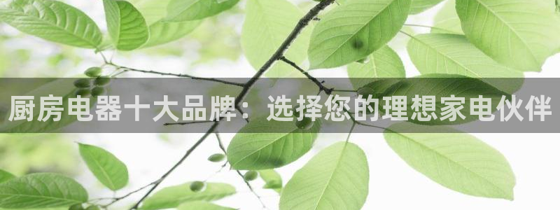 cq9 传奇电子活动