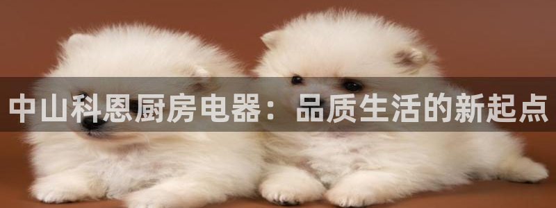 哪些网站有cq9电子