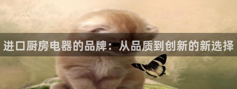 cq9电子单机版