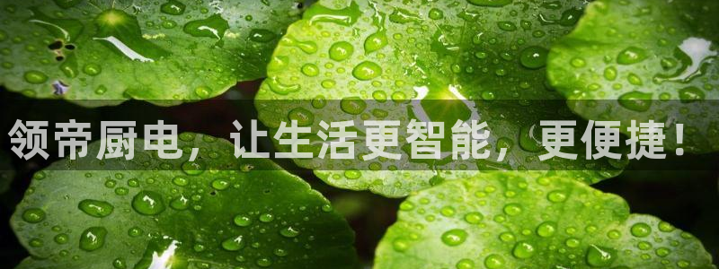 cq9电子智能