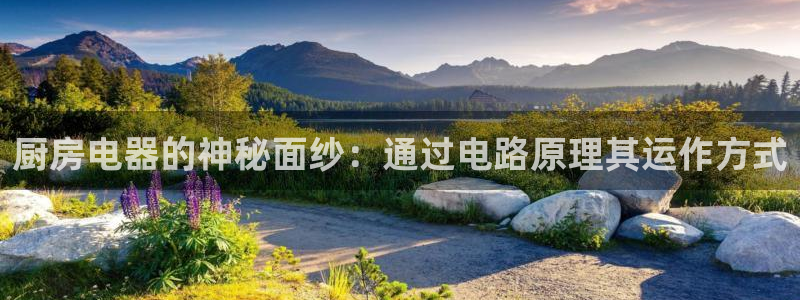 cq9电子水球大战