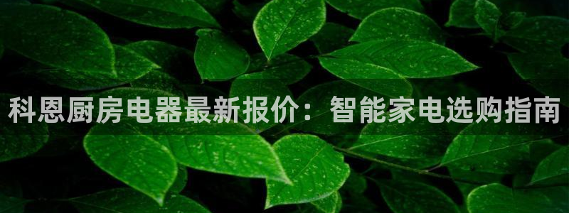 cq9传奇电子图片