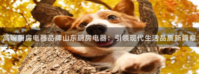 cq9电子舞蹈教学