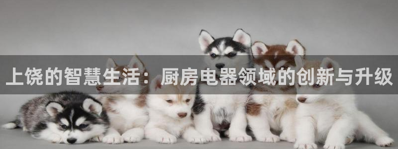 cq9电子爆分变色龙