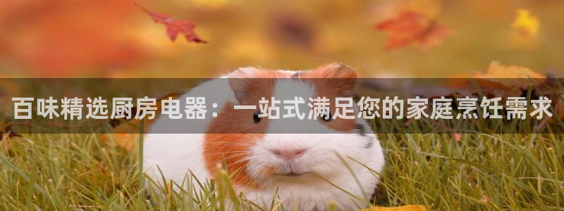 cq9电子冰球爆分