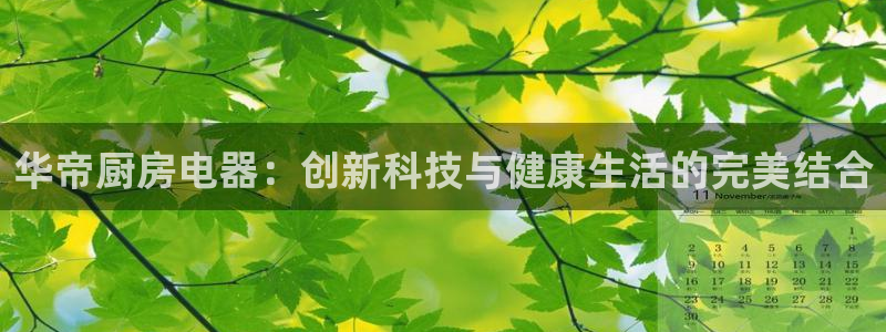 cq9电子服务器