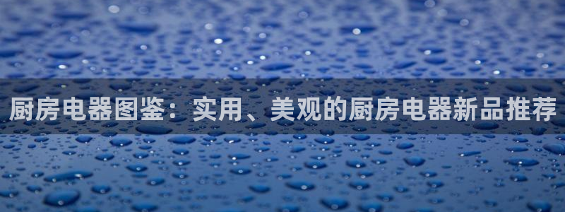 cq9电子冰球