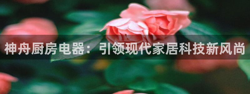 cq9电子竞技