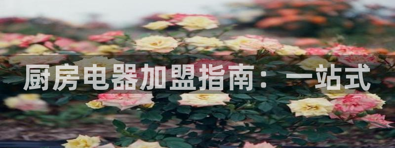 cq9电子有多假