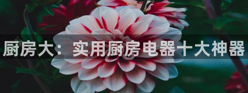 cq9电子游戏