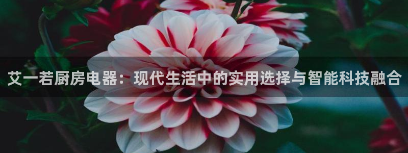 cq9电子雷神之锤