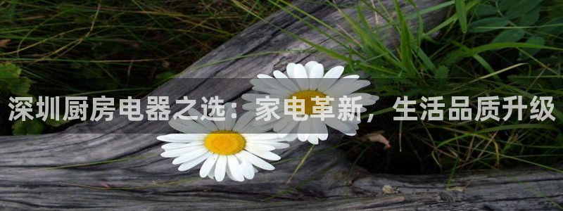 CQ9电子藏分技巧