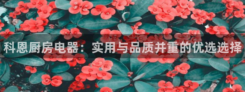 cq9电子冰之女王