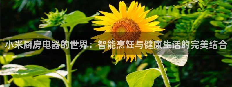 cq9电子梦游仙境