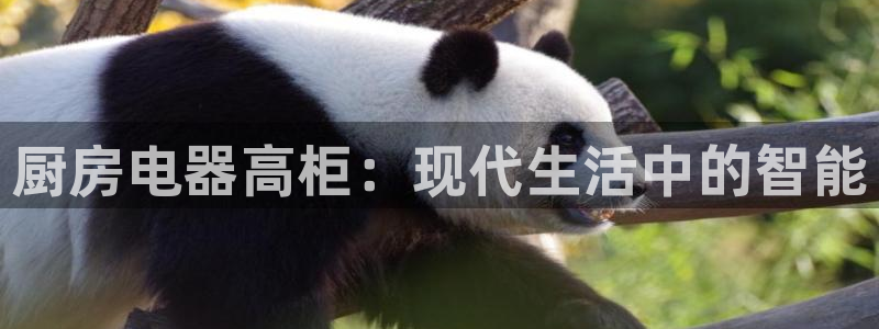 cq9电子爆分技巧