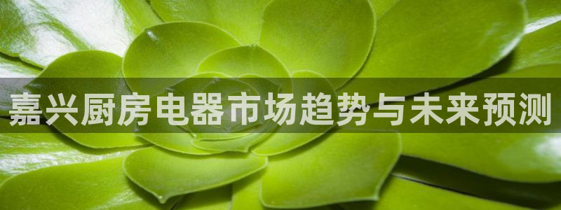 cq9传奇电子版