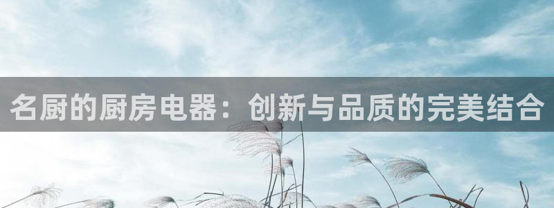 cq9电子游
