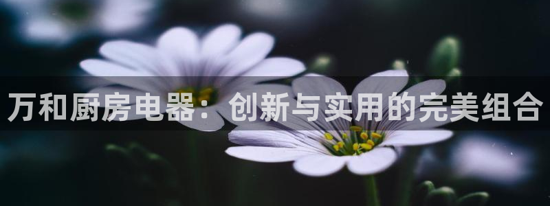 cq9电子爆大奖视频