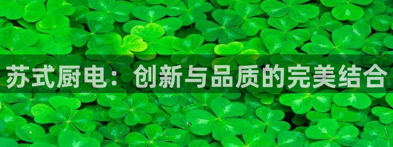 cq9是那个电子