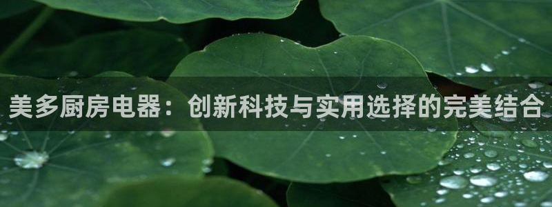 跳高高cq9电子