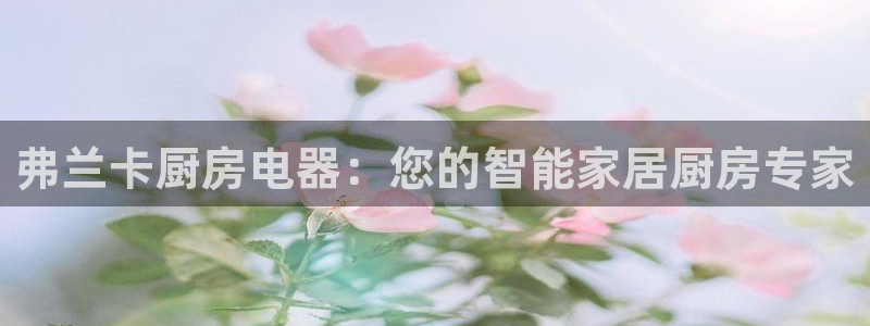 cq9传奇电子的由来