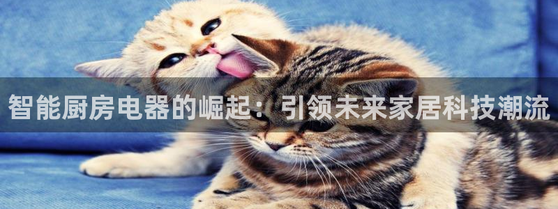 cq9电子投注规则