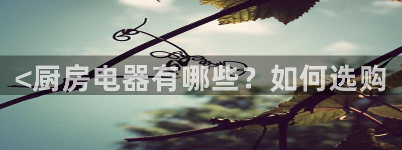 cq9电子宙斯赔付表