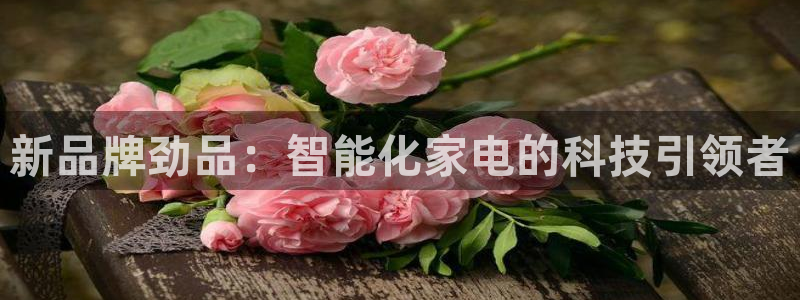 cq9电子都有哪些