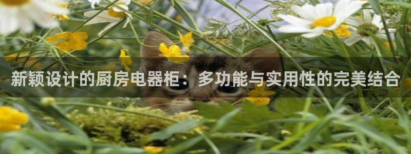 cq9电子游戏代理