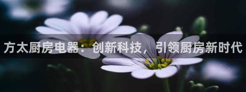 cq9电子压分