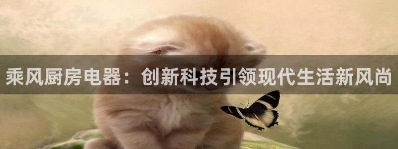cq9电子女王