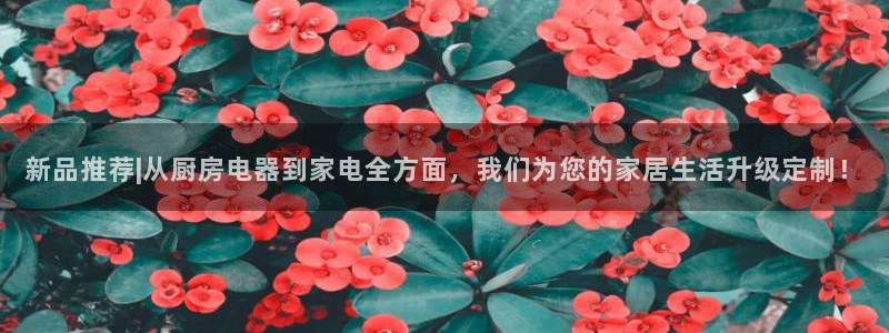 cq9电子特色游戏