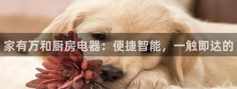 cq9电子有多假