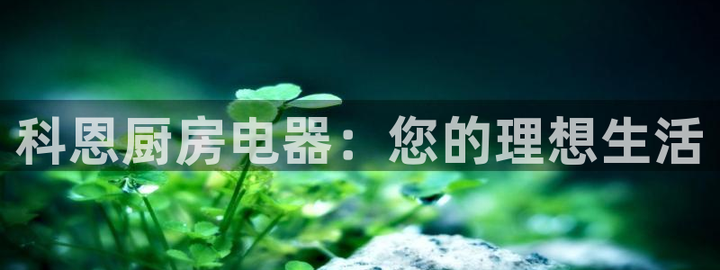 cq9电子魔龙