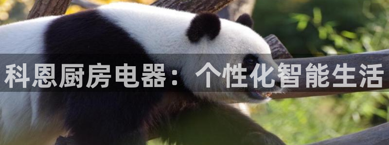 CQ9电子游戏维护