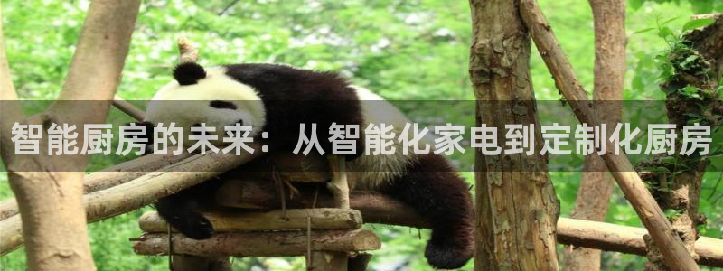 cq9传奇电子神龙