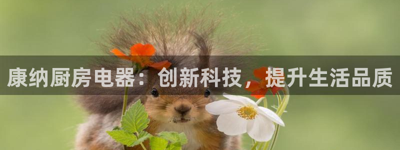 有电子cQ9的棋牌