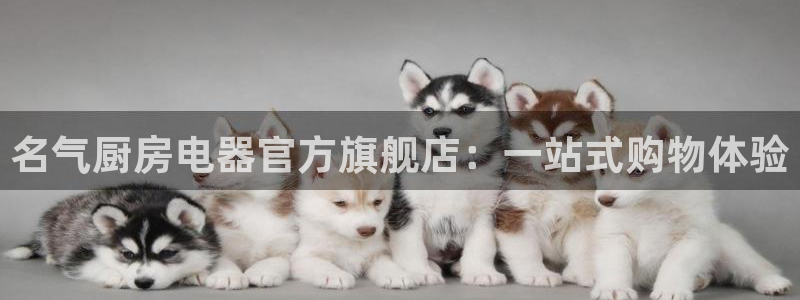 cq9电子哪个好玩