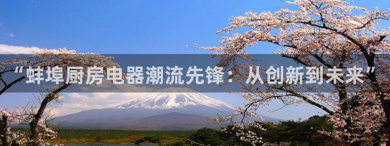 cq9电子游戏公司