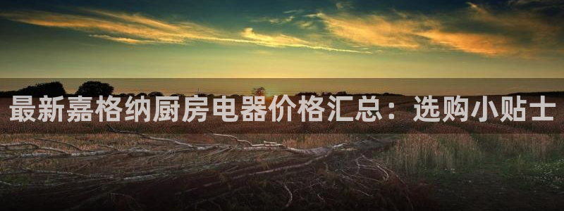 cq9电子冰之女王